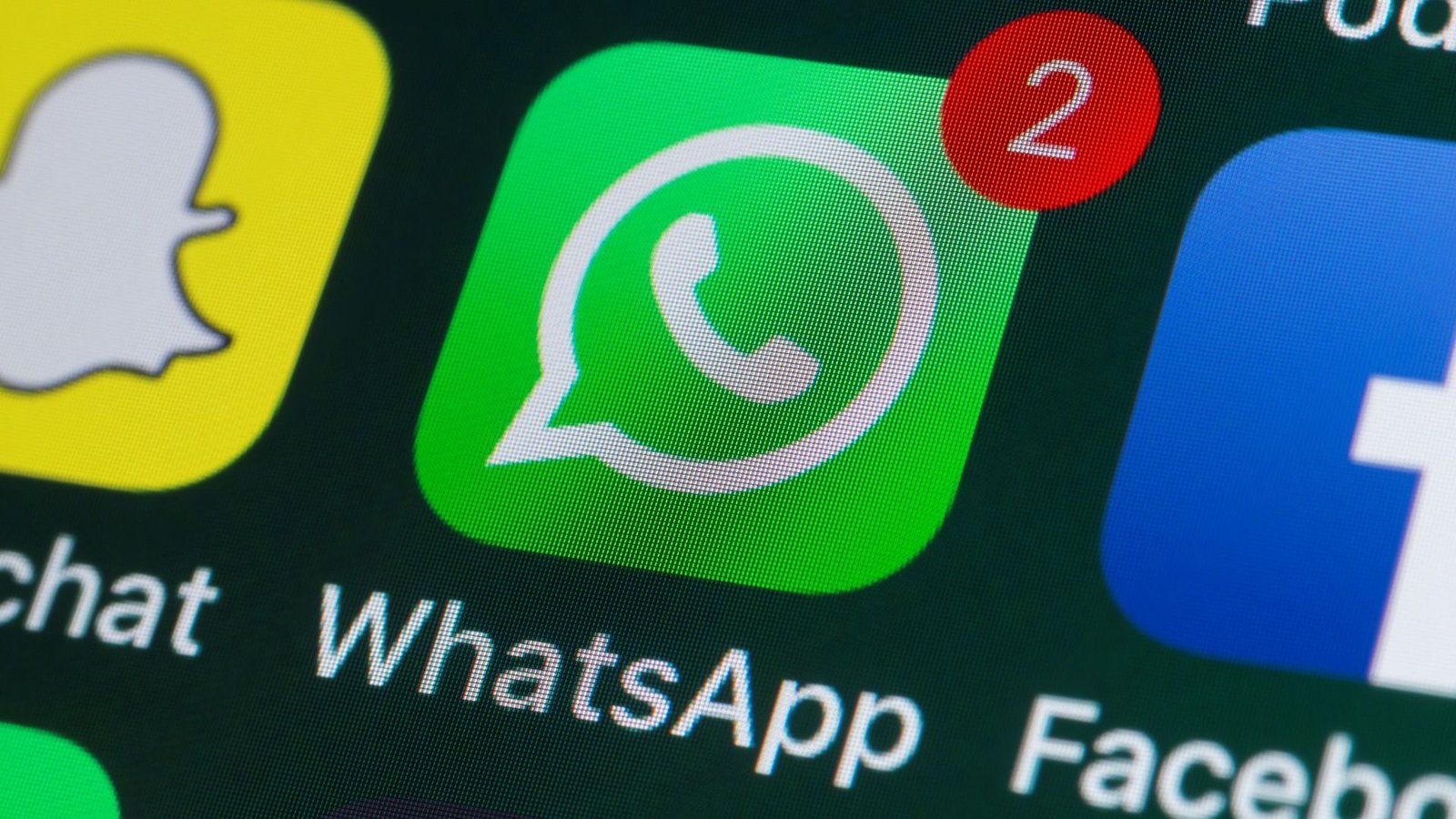 WhatsApp começa testes de versão paga do aplicativo; conheça os recursos