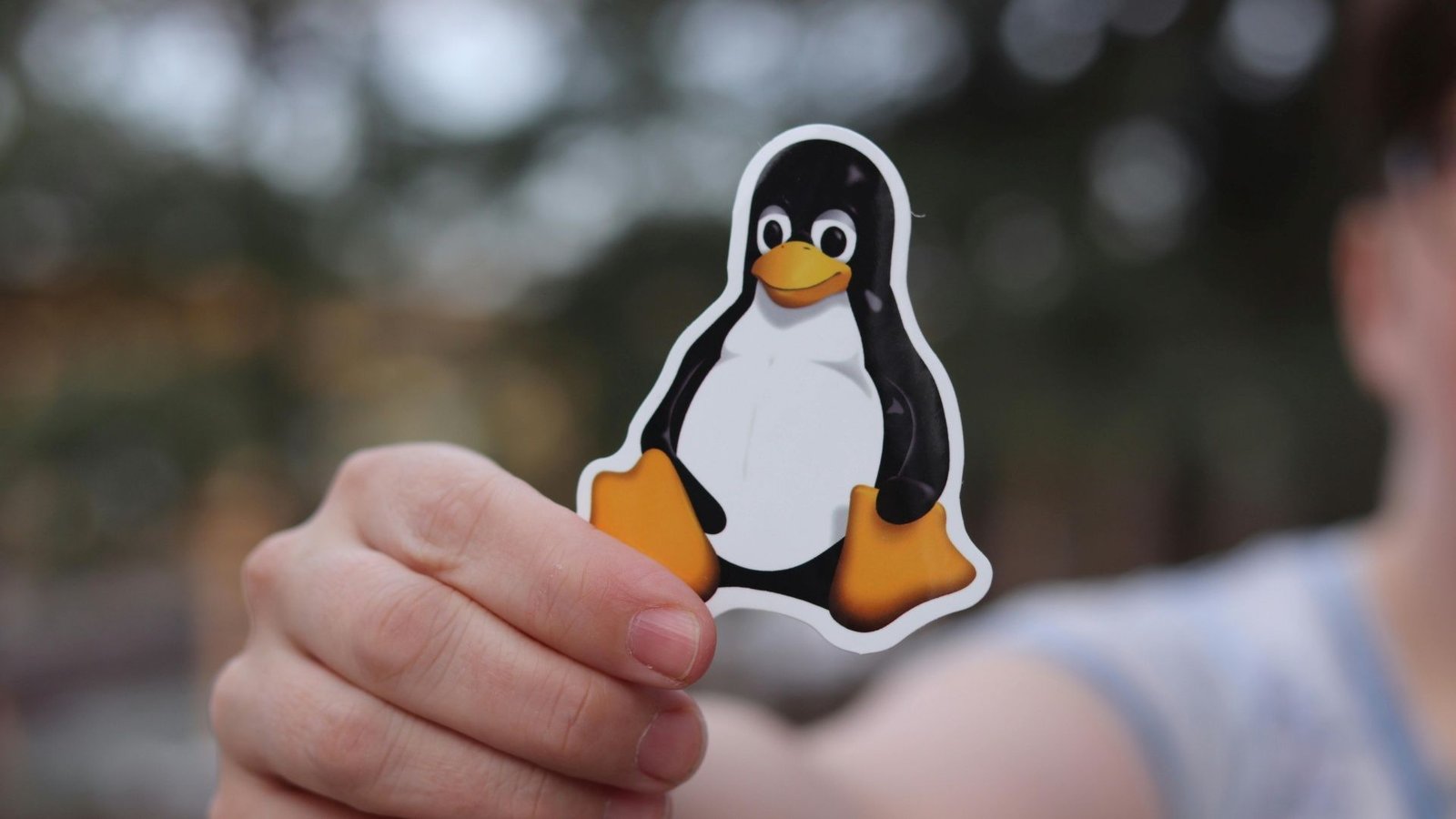 Vulnerabilidade no Linux permitia controle total a qualquer usuário